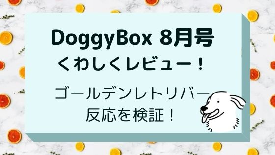 ドギーボックス(DoggyBox)8月号をレビュー！